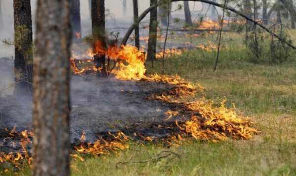 На Среднем Урале полыхают два лесных пожара