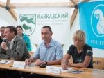 Депутат ЗСК Виктор Тепляков выразил благодарность волонтерам в Сочи