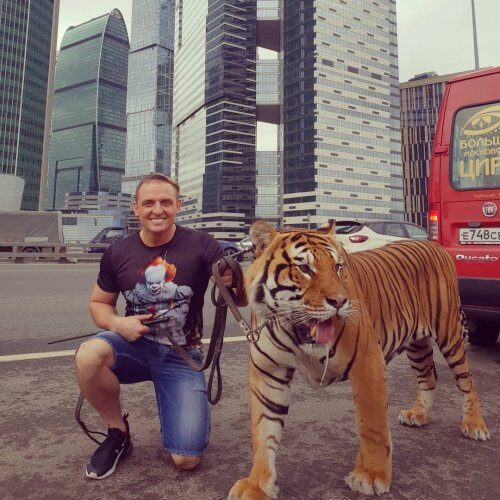 «Настоящий полосатый москвич»: Аскольд Запашный выгуливал тигра на улицах города