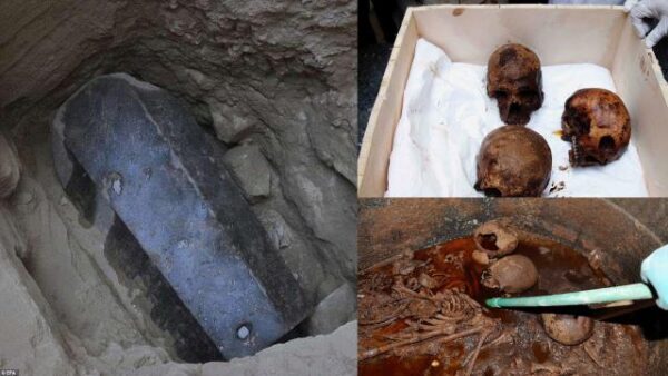 Выяснилось, какую жуткую находку обнаружили в найденном саркофаге в Египте