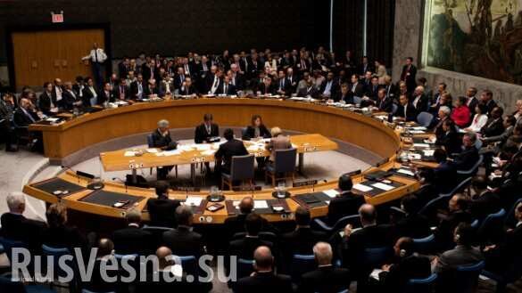 Постпред ООН расстроилась, что доклад по санкциям против КНДР изменили из-за России