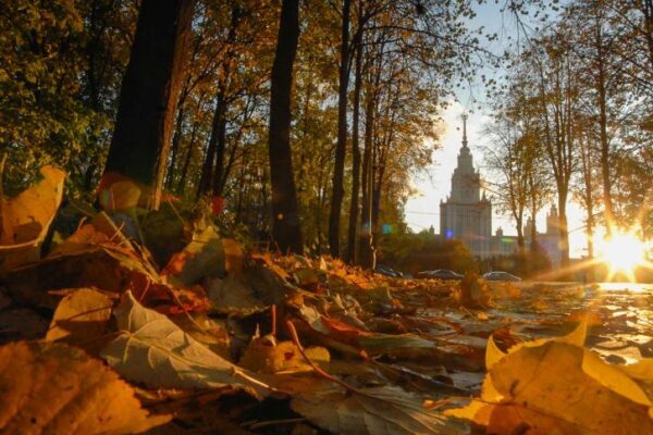 Полувековой температурный рекорд побит в Москве
