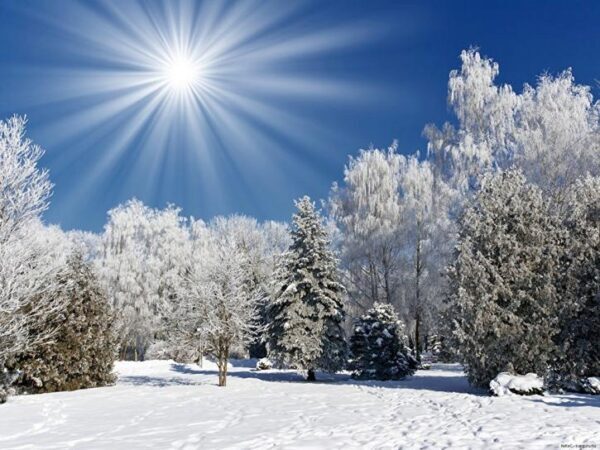 Ученые из Швеции сообщили о смертельной опасности зимы