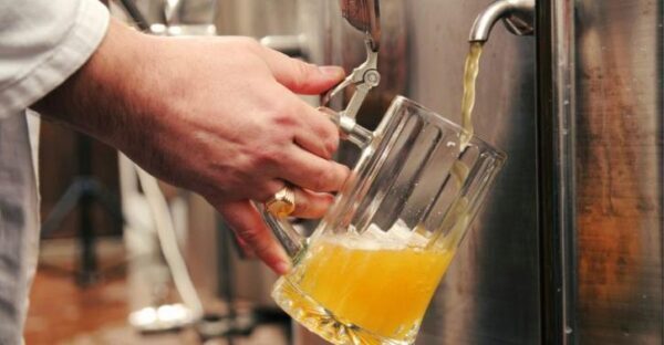 Ученые предсказали дефицит пива в мире из-за глобального потепления