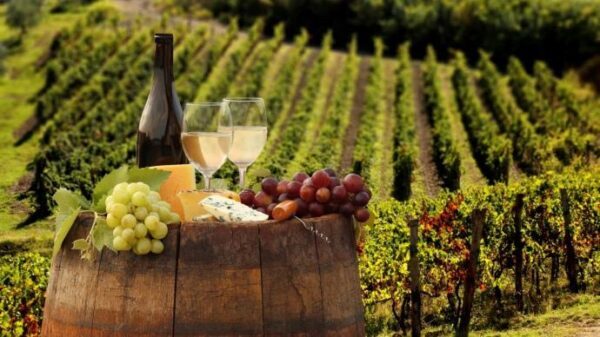 Украинские виноделы пришли к согласию в переименовании продукции