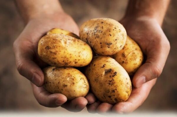 Блюдо из картофеля, которое наносит непоправимый вред здоровью, назвали ученые
