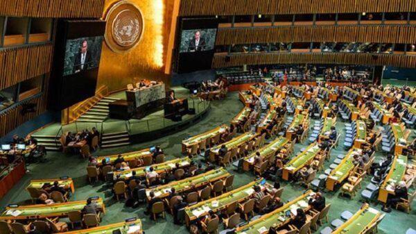 Делегация из Крыма едет в ООН «за правдой»