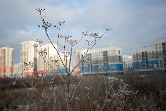 Инвесторы предложат Екатеринбургу «европейский» проект трамвайной ветки из Академического