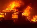 Количество жертв лесных пожаров в Калифорнии превысило 70 человек