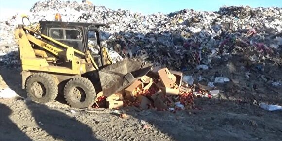 На Шуховском мусорном полигоне бульдозер закатал в землю почти 400 килограммов яблок