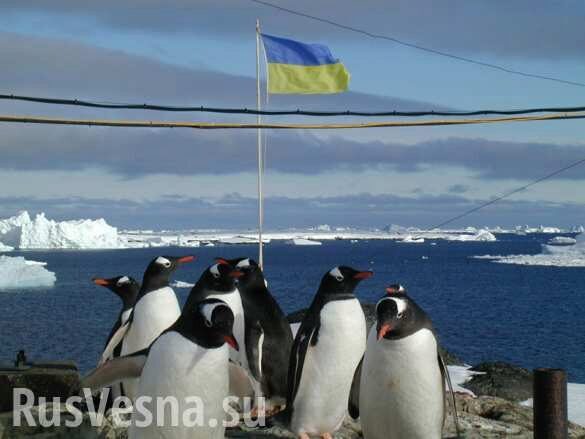Поворот не туда: украинские вожди 5 лет вели страну в Европу, а «привели в Антарктиду» (ВИДЕО)