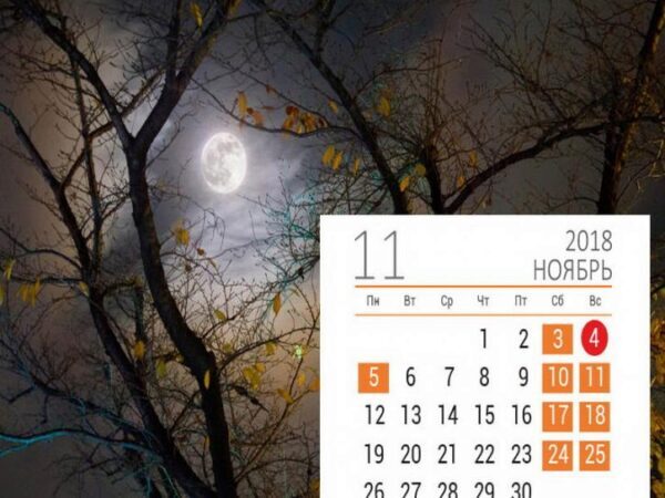 Прогноз астрологов на вторую половину ноября 2018 года: самые опасные и благоприятные дни во второй половине месяца, согласно лунному календарю на ноябрь 2018 года