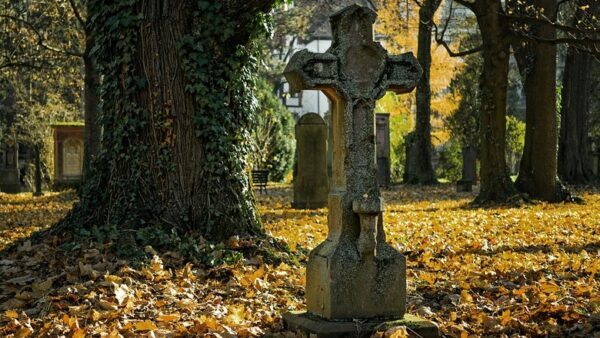 Пропавшего без вести старика отыскали мёртвым около кладбища в Кисловодске