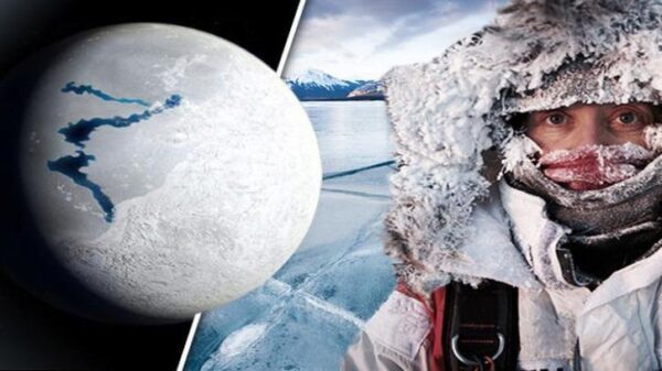 «Солнце становится мёртвым»: специалисты NASA предупредили о новом Ледниковом периоде на Земле