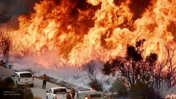 Трамп сравнил лесные пожары в Калифорнии с монстром