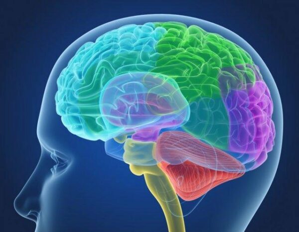 Ученые открыли пять симптомов, по которым можно распознать опухоль головного мозга на ранней стадии