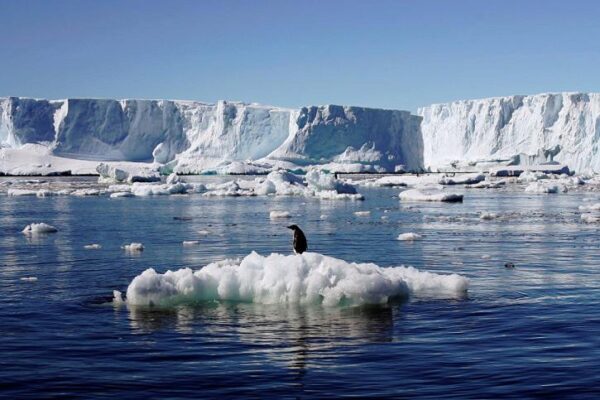 Загадочная находка в Антарктиде прольет свет на главную ее тайну – ученые