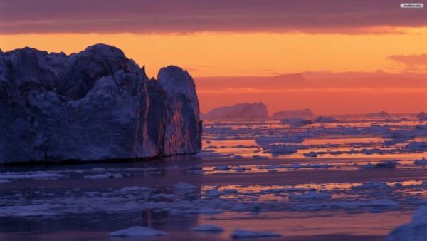 Это будет катастрофа: ситуация в Антарктиде повергла в ужас исследователей
