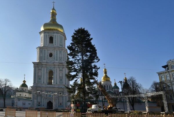 Главная елка Украины после Нового года-2019 изменит собственный имидж
