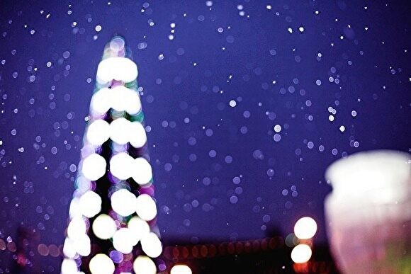 Главную новогоднюю ель привезут в Екатеринбург сегодня ночью
