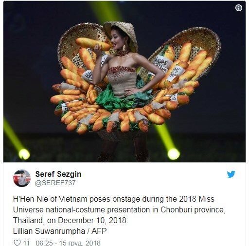 «Мисс Вселенная 2018»: в web-сети разгорелся скандал вокруг участницы от США