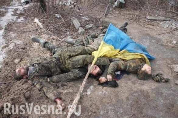 На Донбассе две спецгруппы ВСУ попытались прорваться на позиции ДНР, но понесли потери