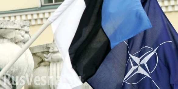 Не прошло и полгода: Парламент Эстонии осудил действия России в Керченском проливе