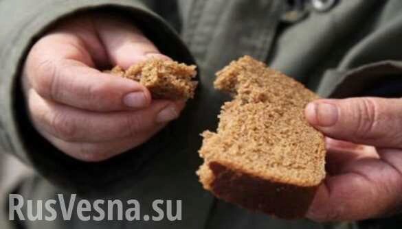 Новая Ласпа: у людей в прифронтовой зоне четыре года нет хлеба (ФОТО)