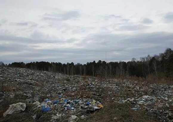 Старый мусорный полигон под Тюменью рекультивируют за 300 млн рублей