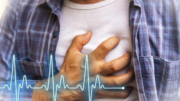 Ученые назвали два привычных продукта, «убивающих» сердечно-сосудистую систему