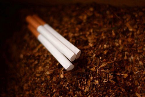 Ученые создали легкие из табака