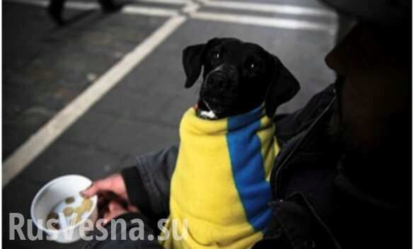 Украина: Перспектива самого нищего государства в Европе