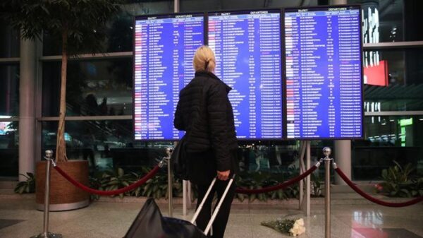 В аэропортах Москвы из-за непогоды задержано более 40 рейсов