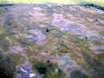 В Новоусманском районе обнаружили странное изображение на поверхности земли