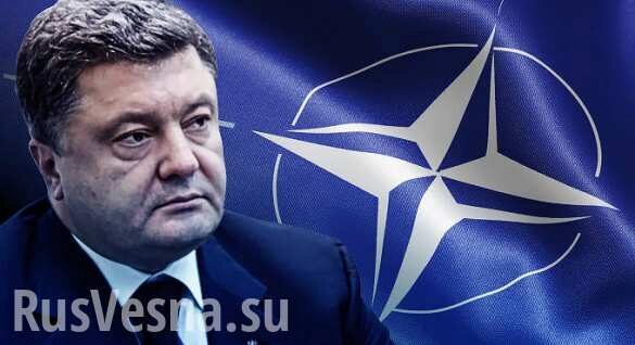 Заграница нам поможет: Порошенко заявил, что НАТО обеспечит безопасность на Азове