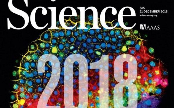 Журнал «Science» опубликовал список главных научных открытий 2018 года
