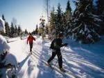 Эксперты назвали самый полезный вид зимнего спорта