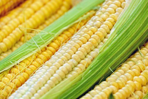 Химики из США увеличат производство этанола из кукурузы