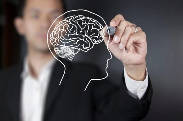Как улучшить память и работу мозга объяснили ученые