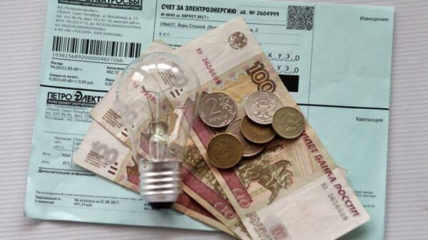 На Дону «граждане СССР» не желают платить за электричество – СМИ