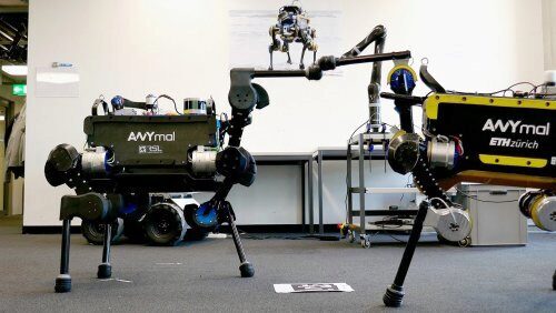 Швейцарским институтом показана новая усовершенствованная модель робота