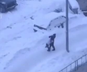 Тюменский СК проводит проверку появившегося в сети ролика, где женщина пинает ребенка