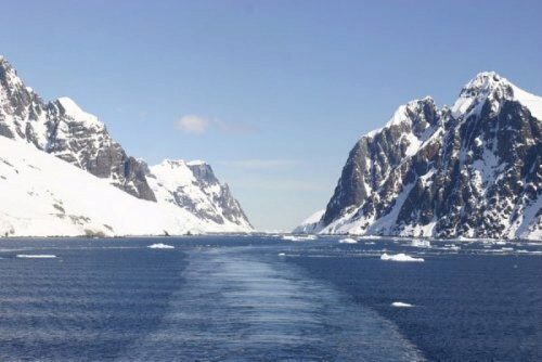 Ученые обнаружили жизнь подо льдом Антарктиды