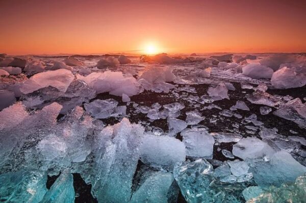 В Антарктиде обнаружена жизнь подо льдами, ученых поразил один факт