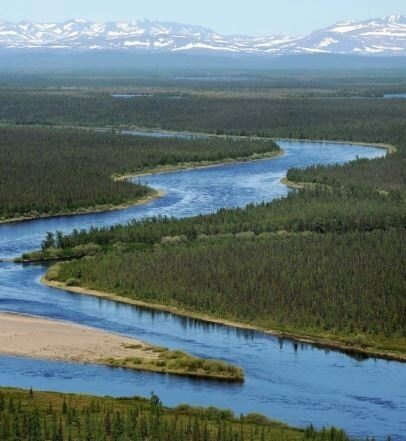 В горных ручьях Полярного Урала обнаружены загрязнители. Причина — нашествие туристов