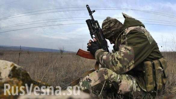 Донбасс: Украинские оккупанты сообщили о потерях