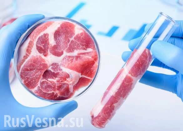 Искусственное мясо способно навредить природе сильнее натурального (ФОТО)