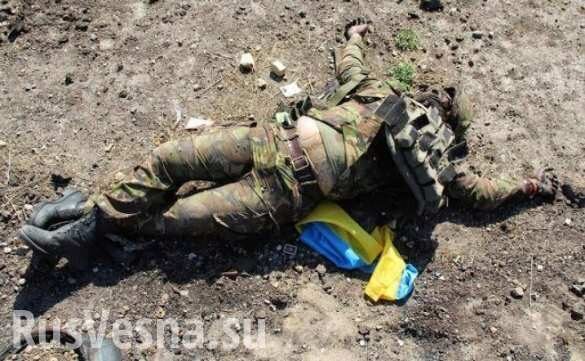 На Донбассе погиб украинский каратель