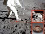 На поверхности Луны нашли древний кувшин