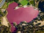 Озеро в Мельбурне внезапно стало ярко-розовым